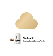 Video Cloud