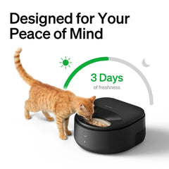 Polar Wet Food Feeder & RFID Smart Fountain Bundle