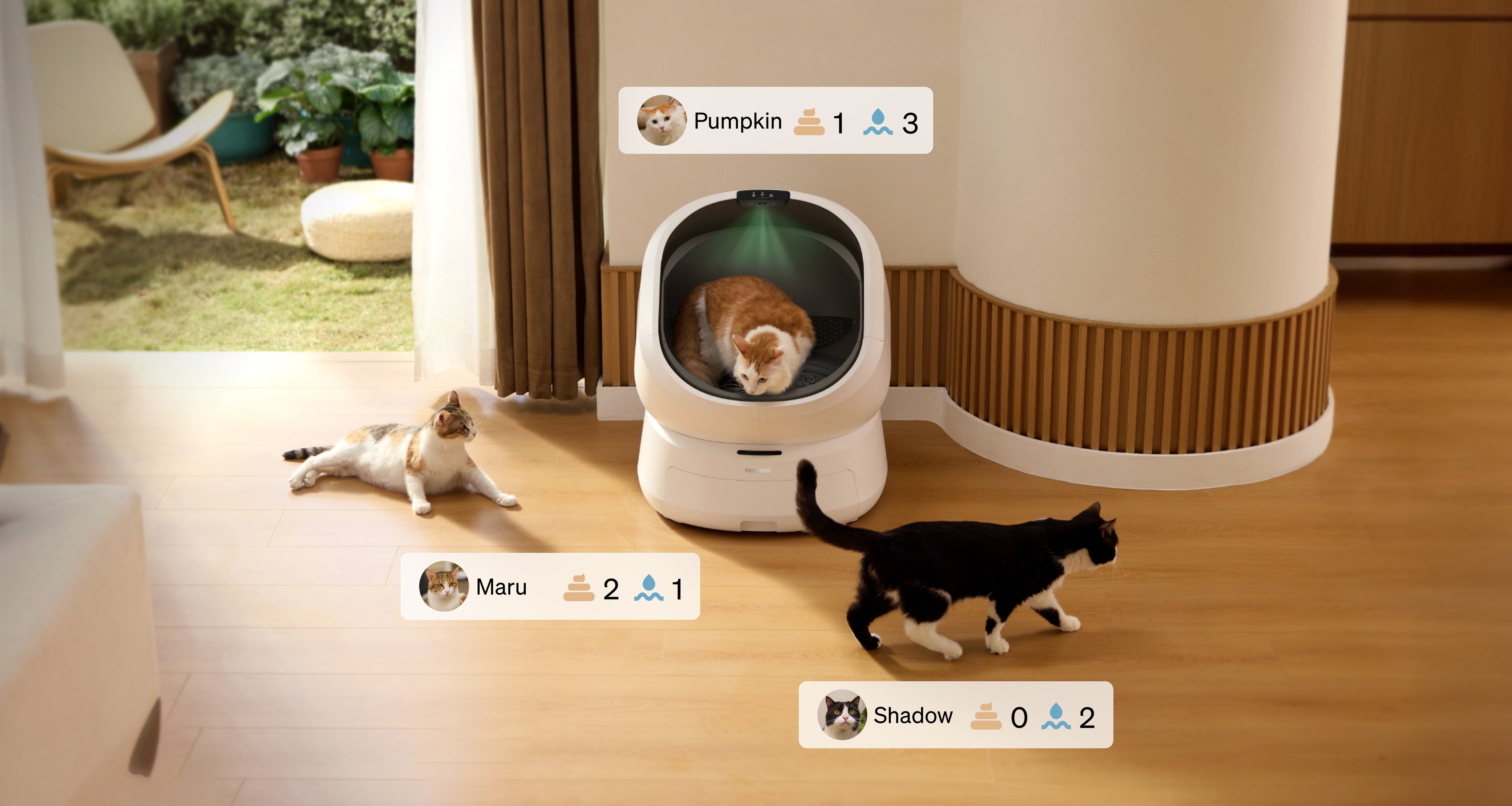 Luma Smart Litter Box for pet