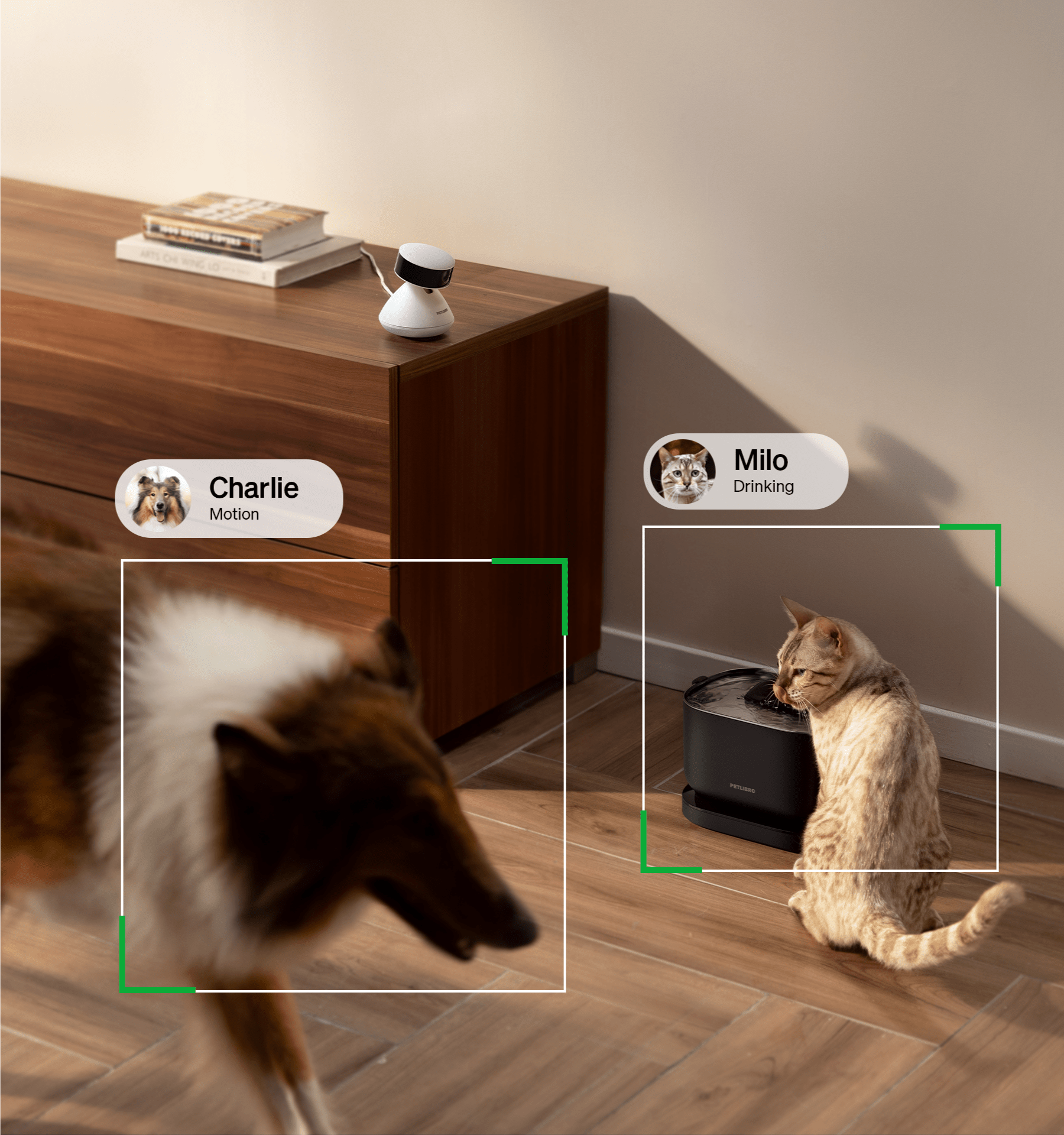 RFID Smart Feeder & Scout Smart Camera