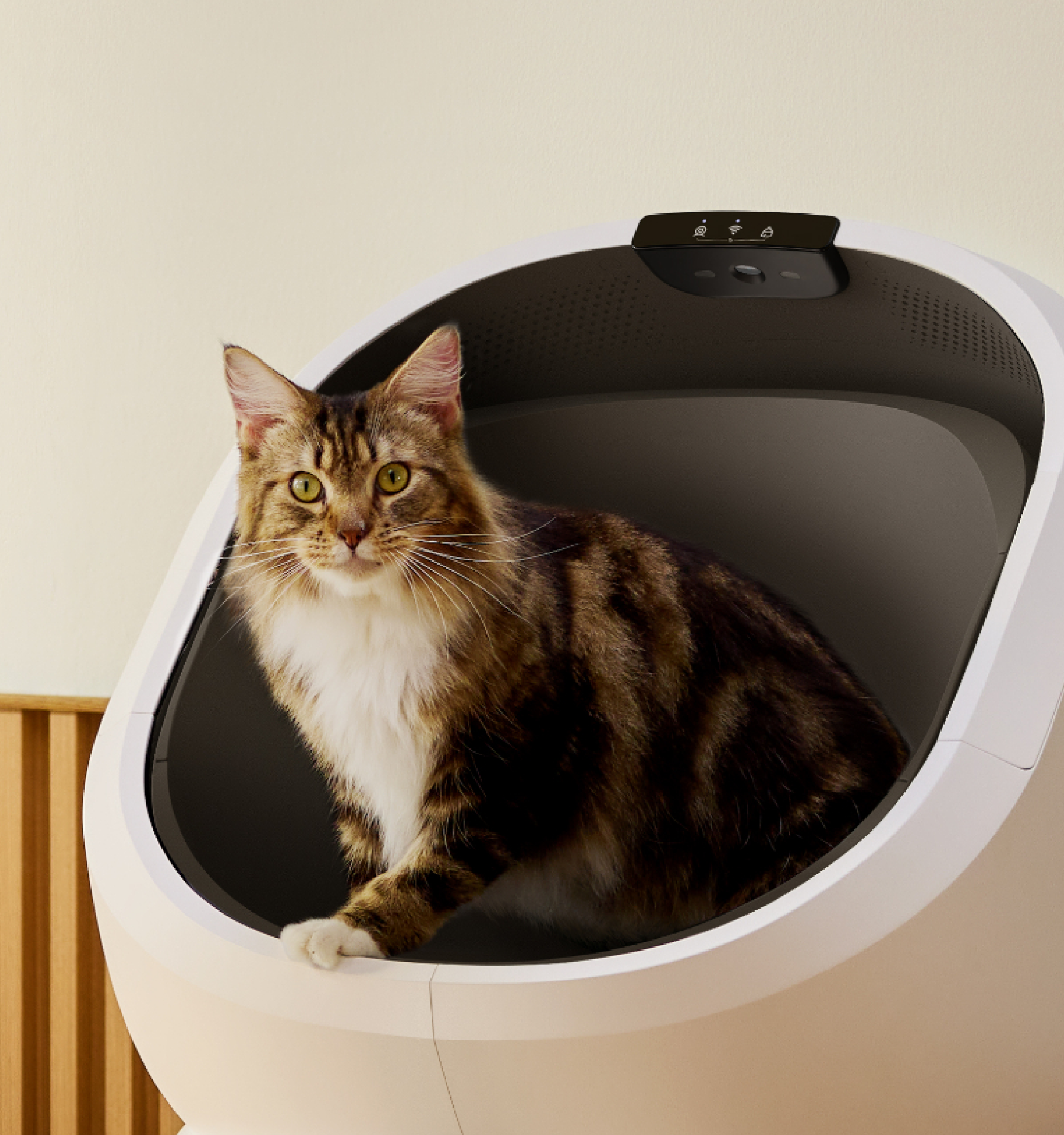 Luma Smart Litter Box Set