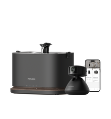 Scout Smart Camera & Dockstream 2 Smart Fountain
