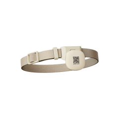 RFID Collar Tag