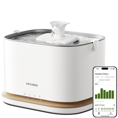 Dockstream 2 Smart Fountain