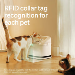 Dockstream RFID Smart Fountain for pet