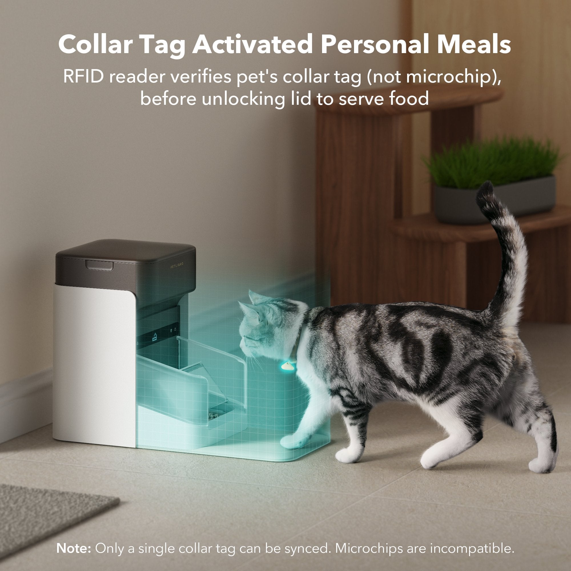 RFID Smart Feeder & Scout Smart Camera