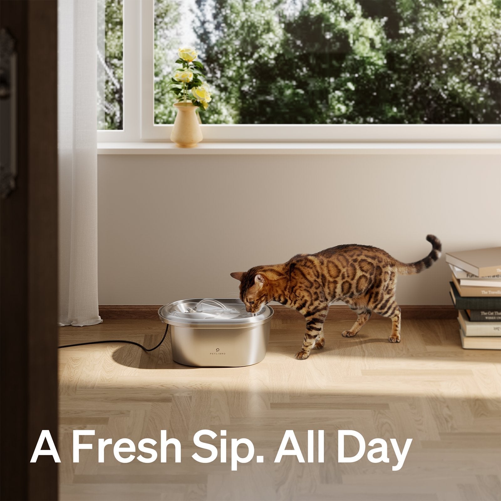 Stainless Steel Fountain for pet
